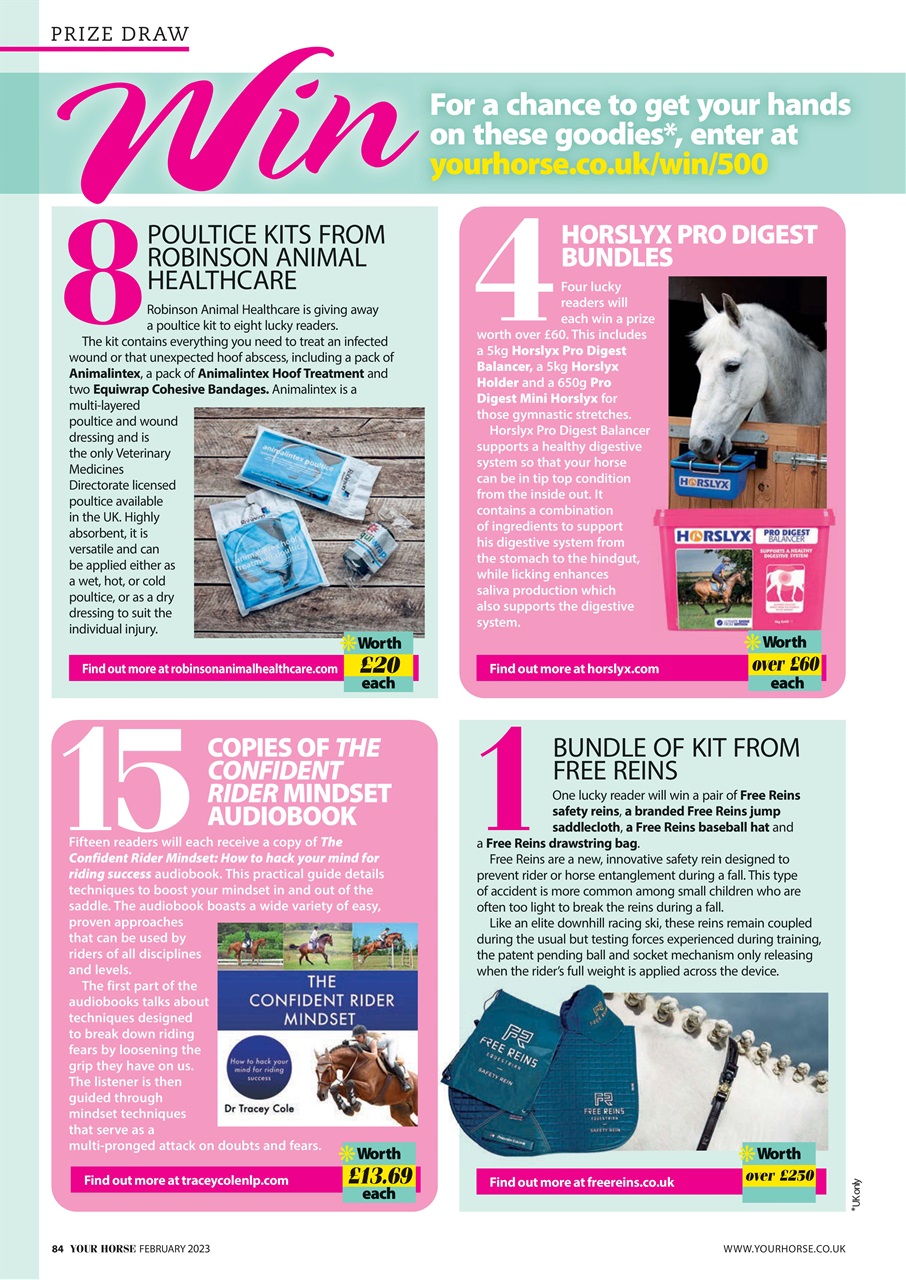 Your Horse Preview Pages