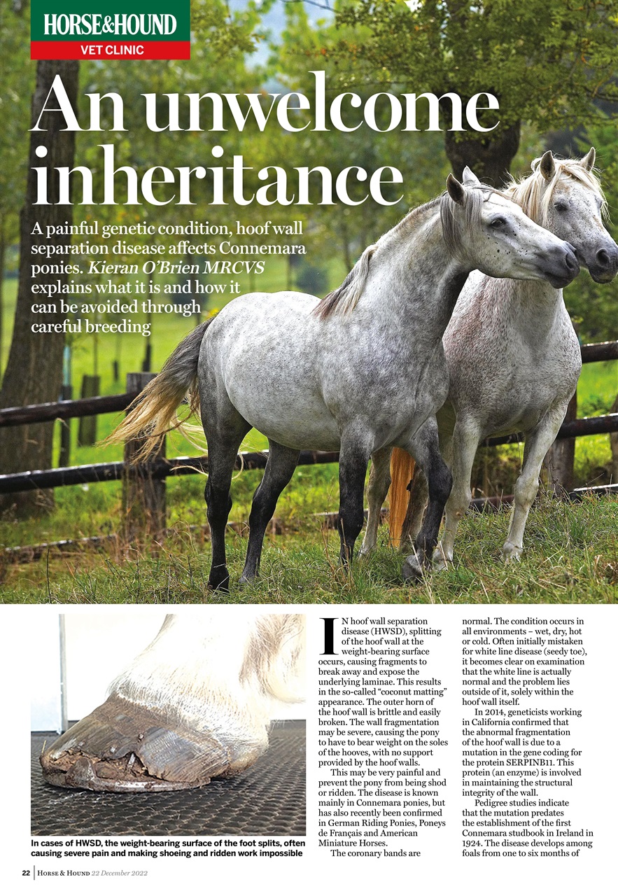 Horse & Hound Preview Pages