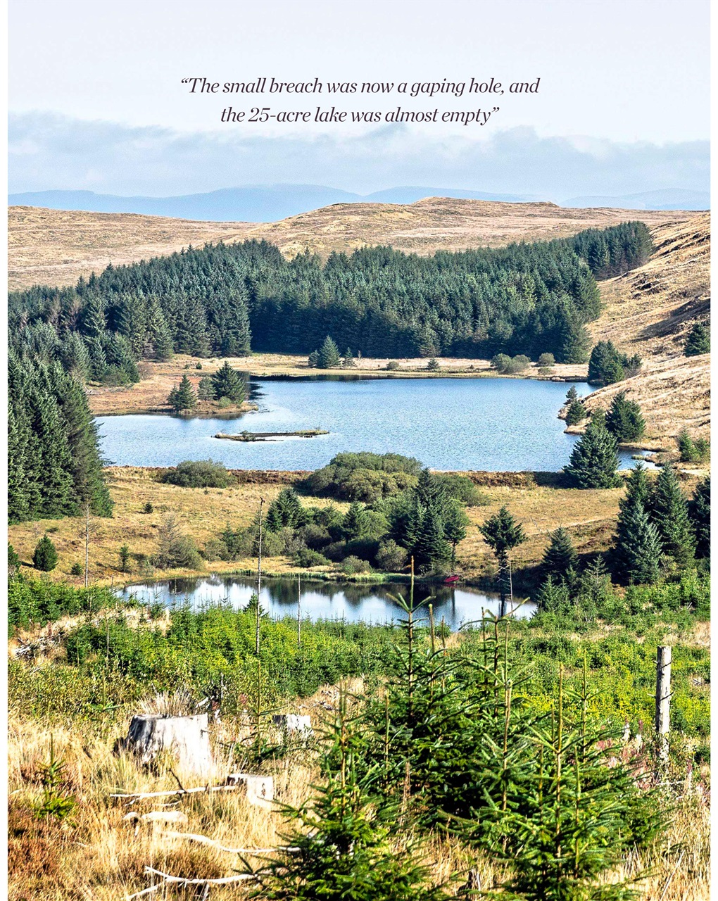 Trout & Salmon Preview Pages