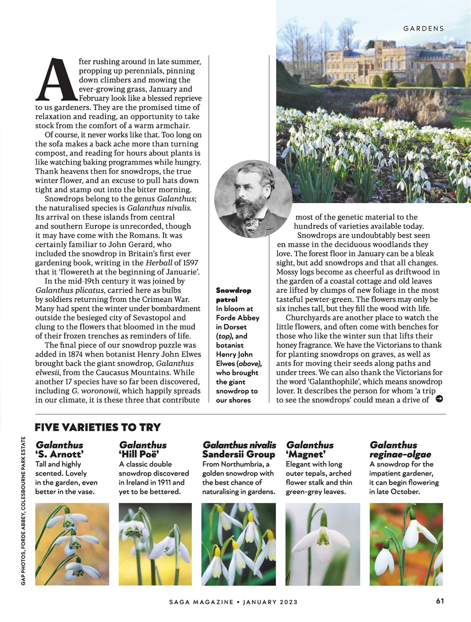 Saga Magazine Preview Pages