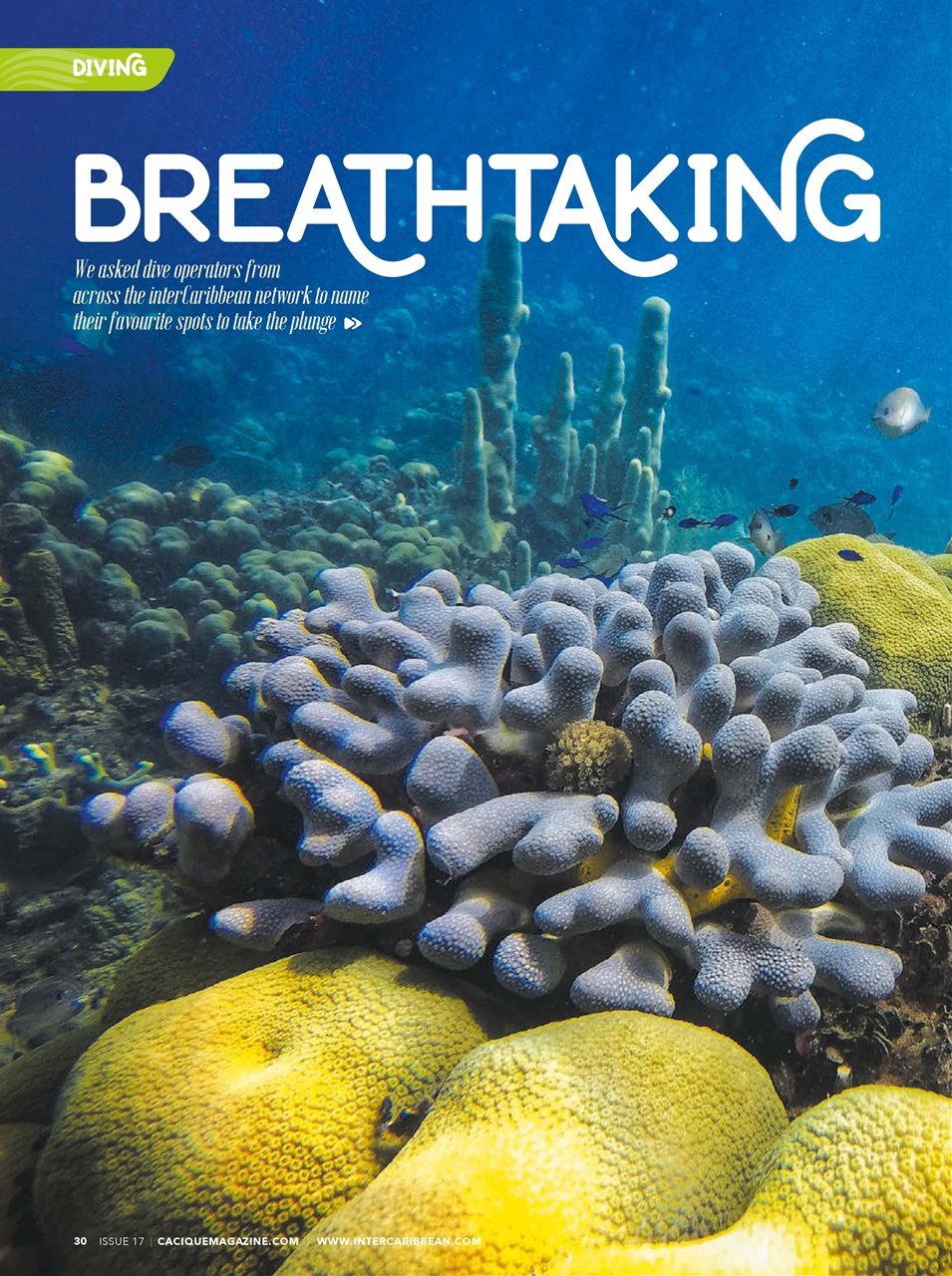 CACIQUE Preview Pages