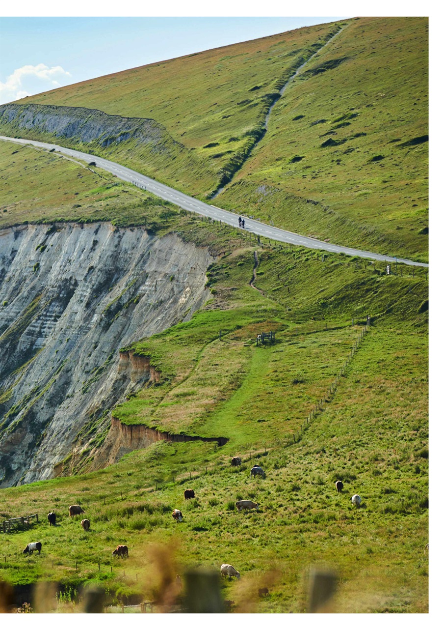 Cycling Plus Preview Pages