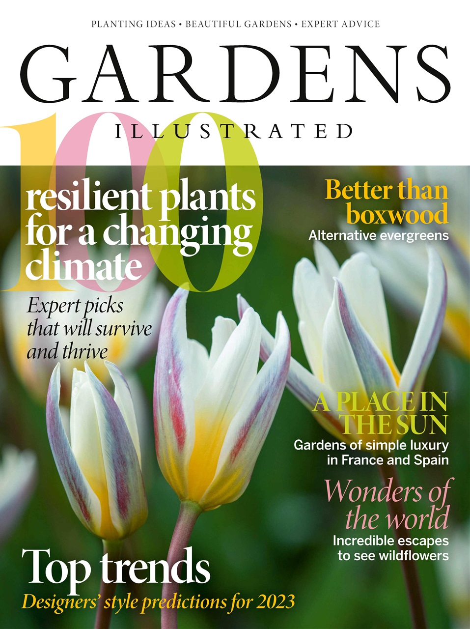 Gardens Illustrated Preview Pages