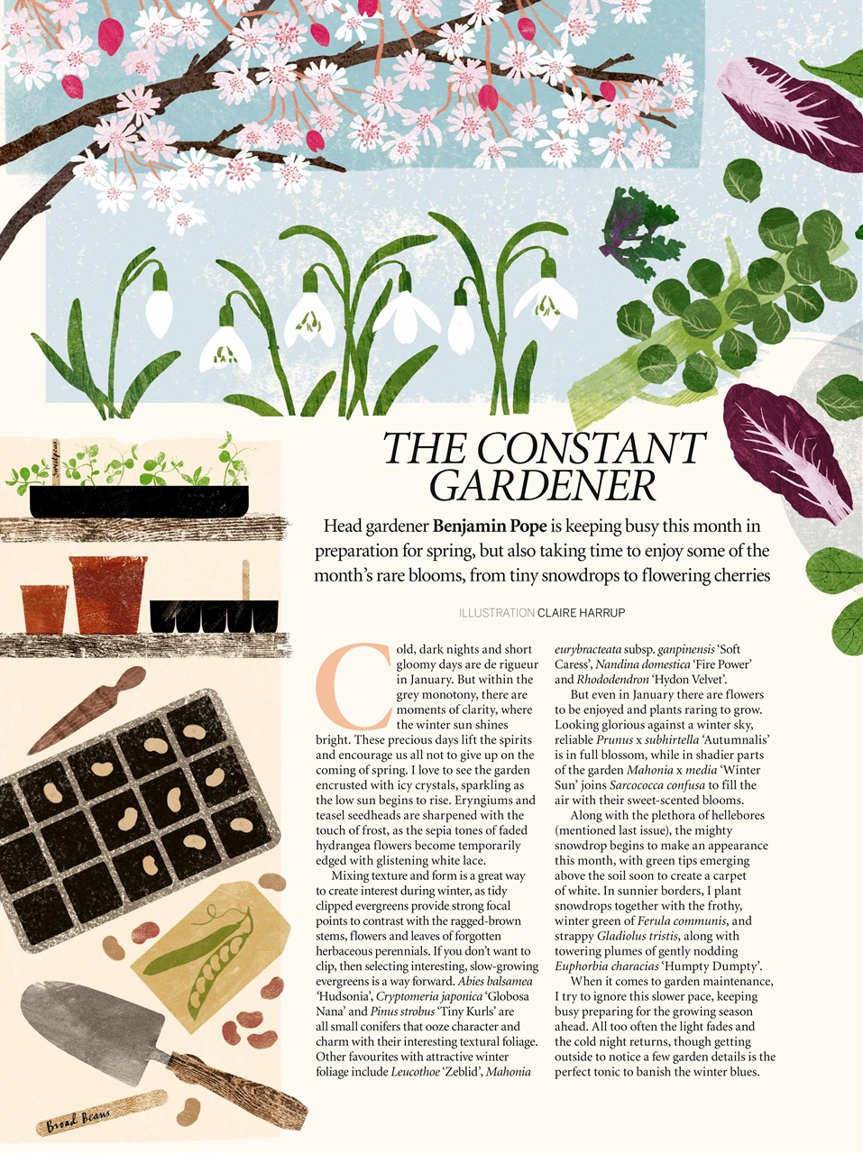 Gardens Illustrated Preview Pages