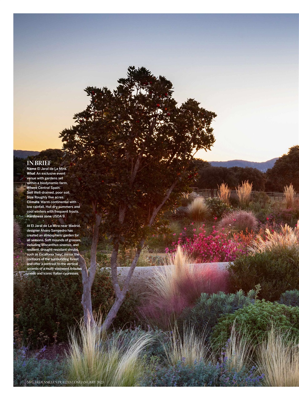 Gardens Illustrated Preview Pages