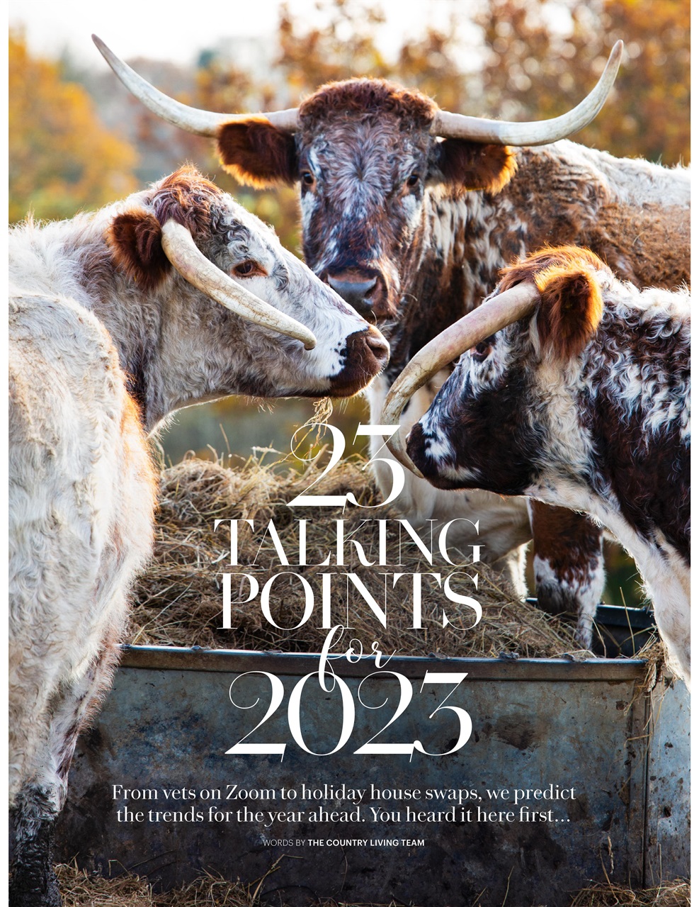 Country Living Preview Pages