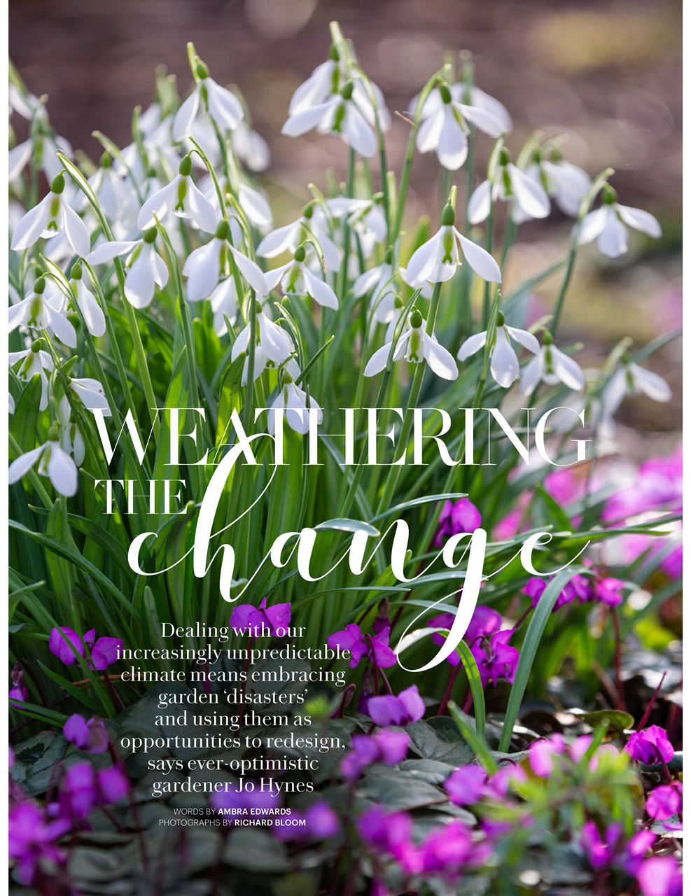 Country Living Preview Pages