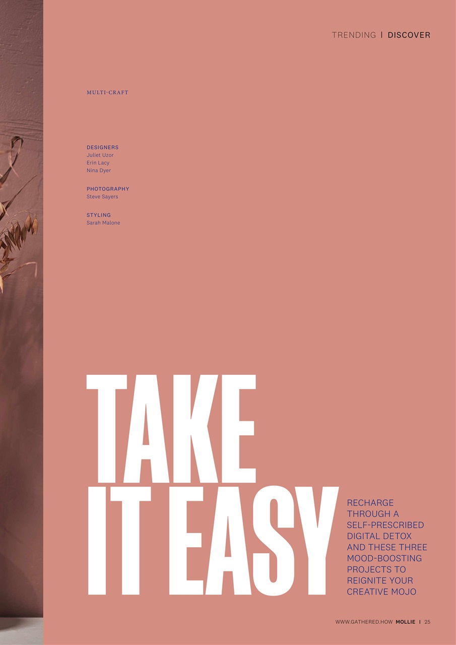 Mollie magazine Preview Pages