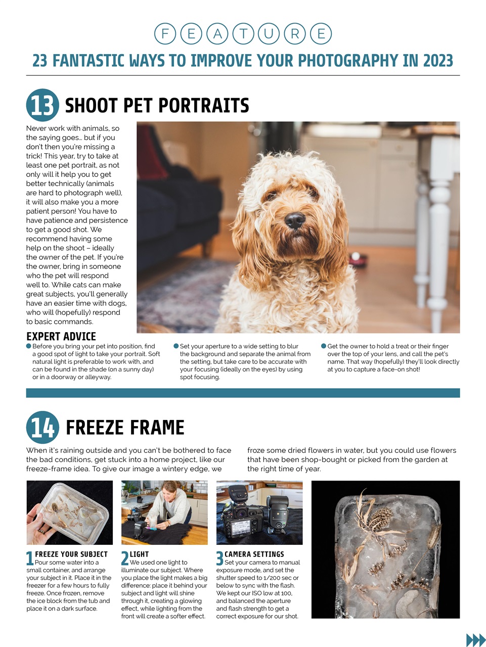 Photography Week Preview Pages