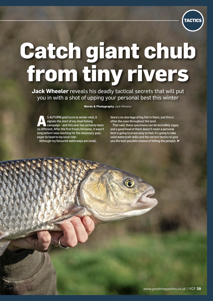 Improve Your Coarse Fishing Preview Pages