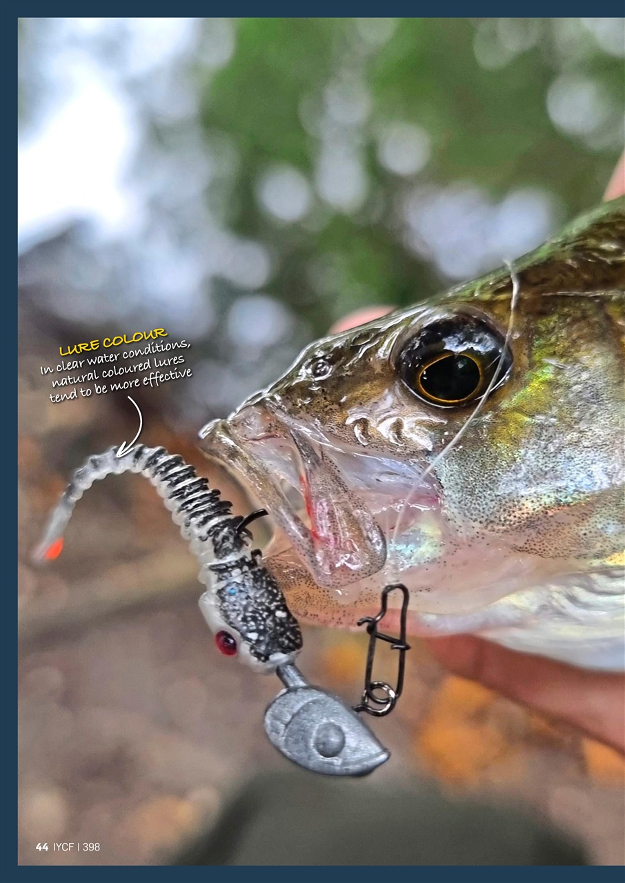 Improve Your Coarse Fishing Preview Pages