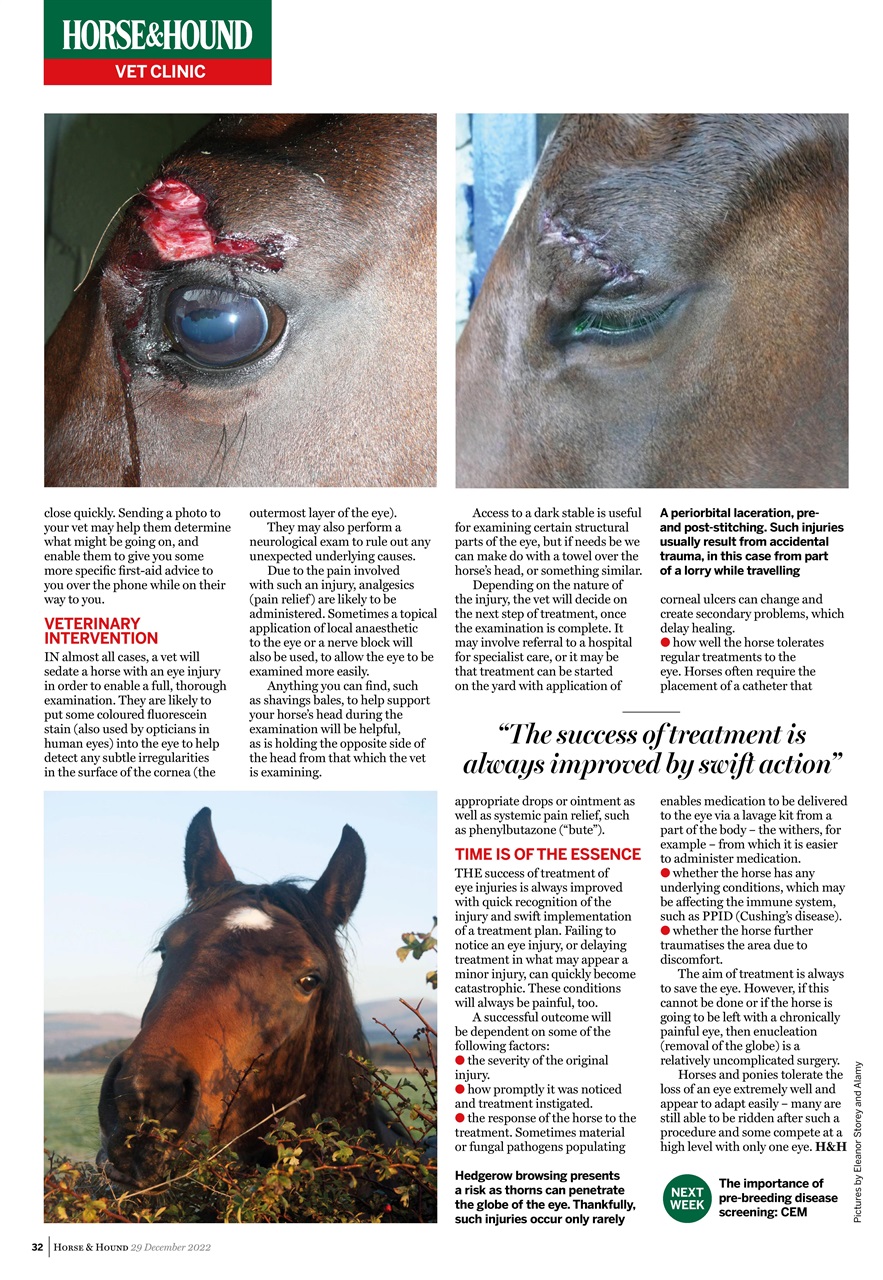 Horse & Hound Preview Pages