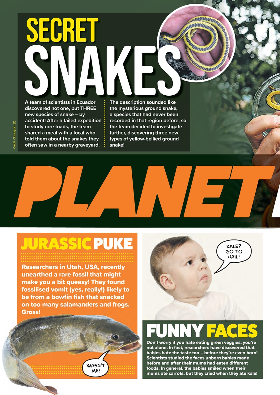 Animal Planet Kids Preview Pages