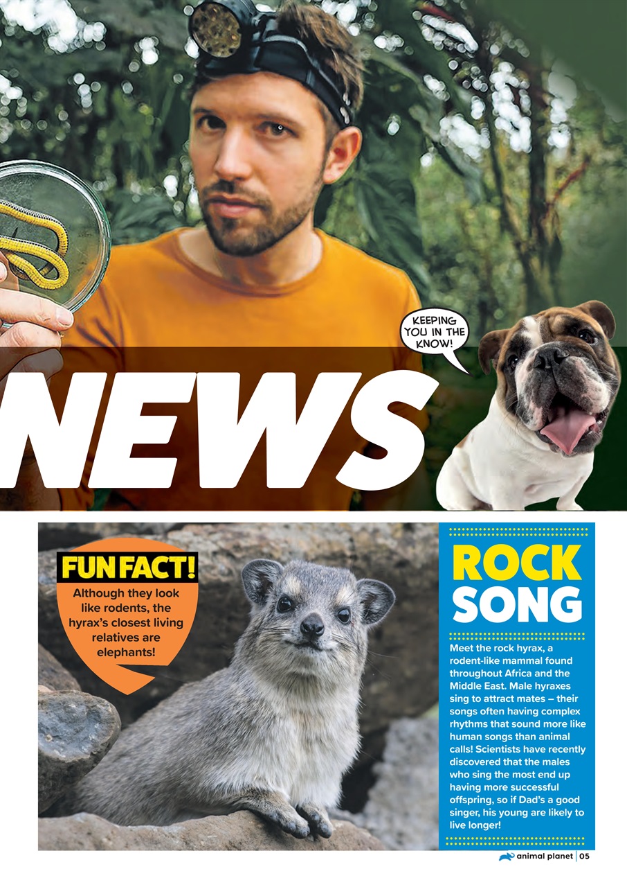 Animal Planet Kids Preview Pages