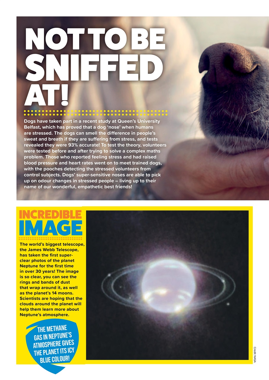 Animal Planet Kids Preview Pages