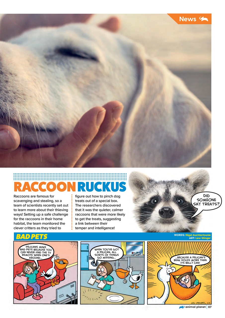 Animal Planet Kids Preview Pages