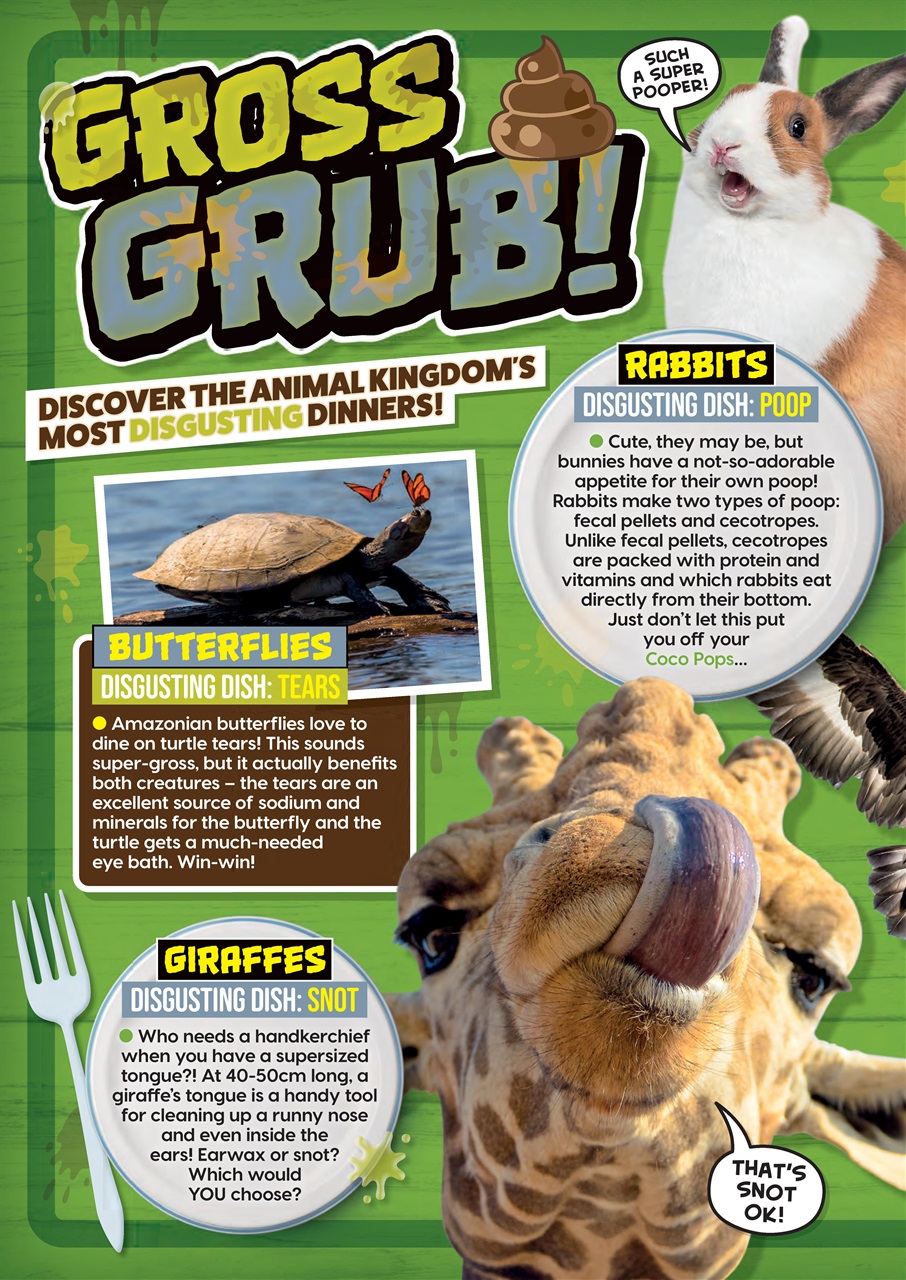 Animal Planet Kids Preview Pages