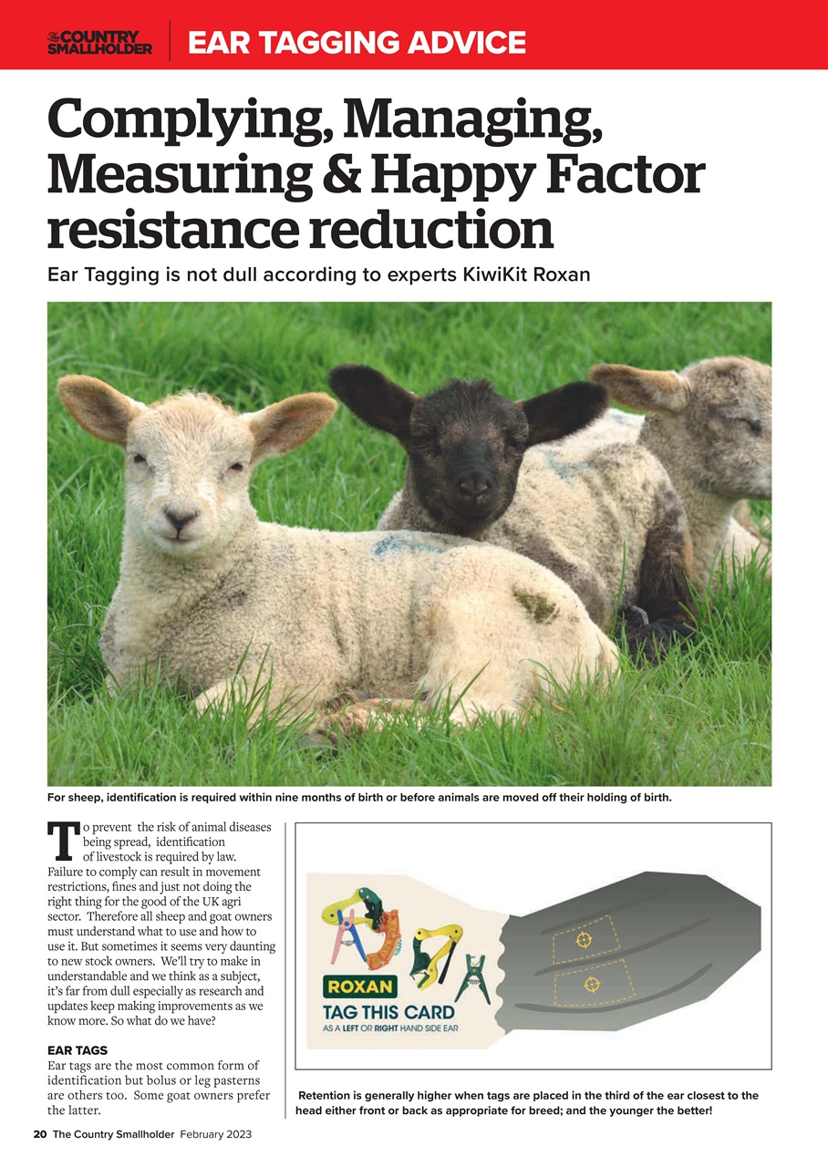 The Country Smallholder Preview Pages