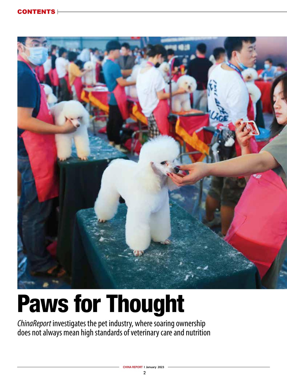 China Report Preview Pages