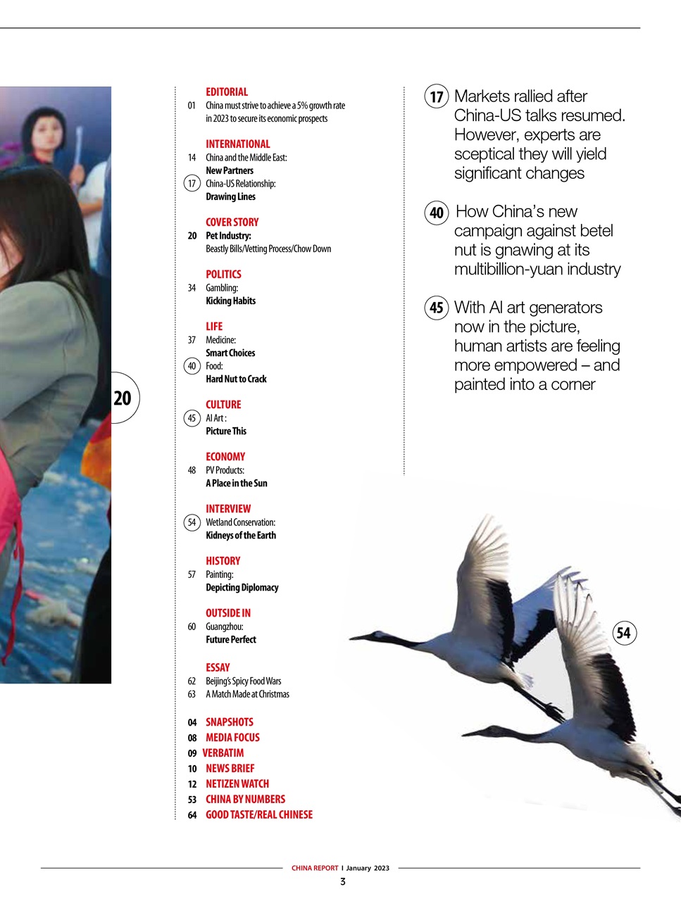 China Report Preview Pages