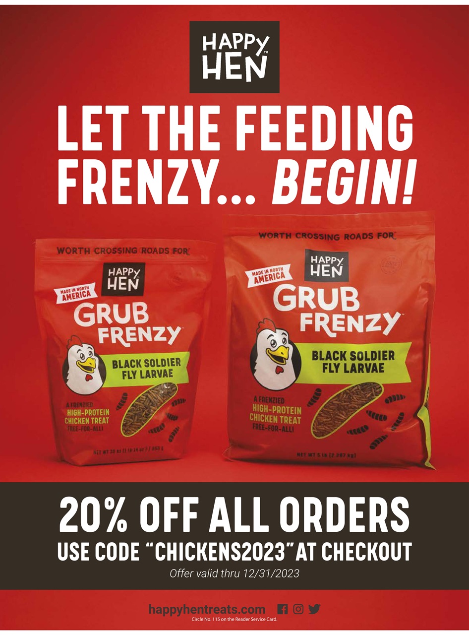 Chickens Magazine Preview Pages