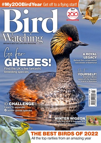 Bird Watching issue Feb-23