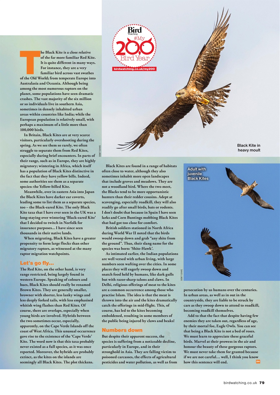 Bird Watching Preview Pages
