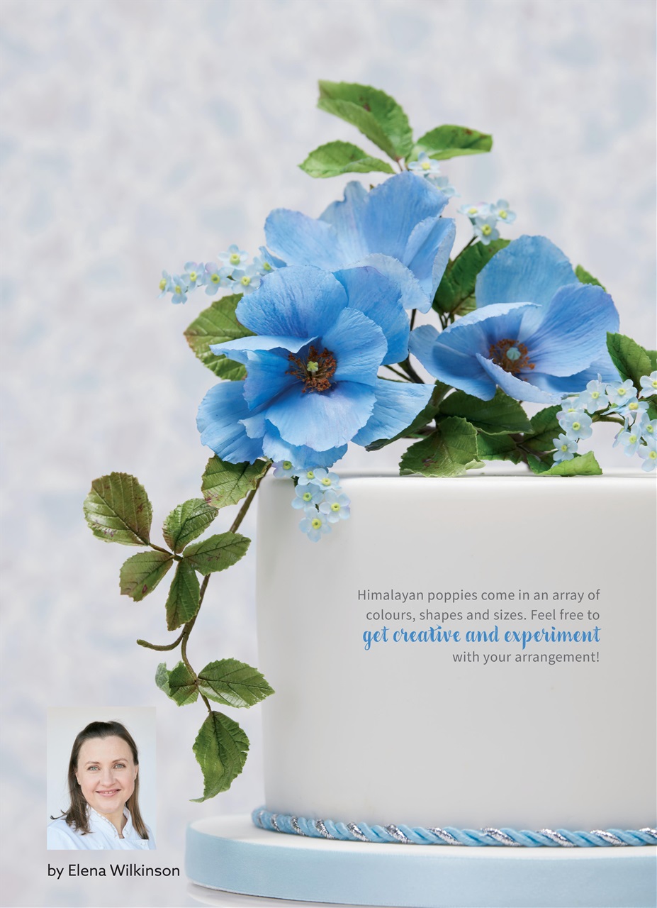 Cakes & Sugarcraft Preview Pages