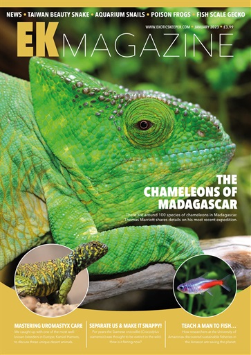 Exotics Keeper issue 