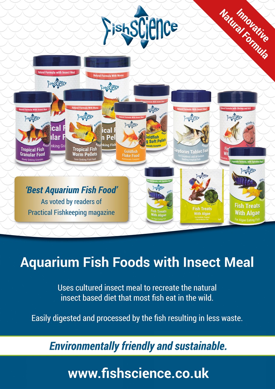 Exotics Keeper Preview Pages