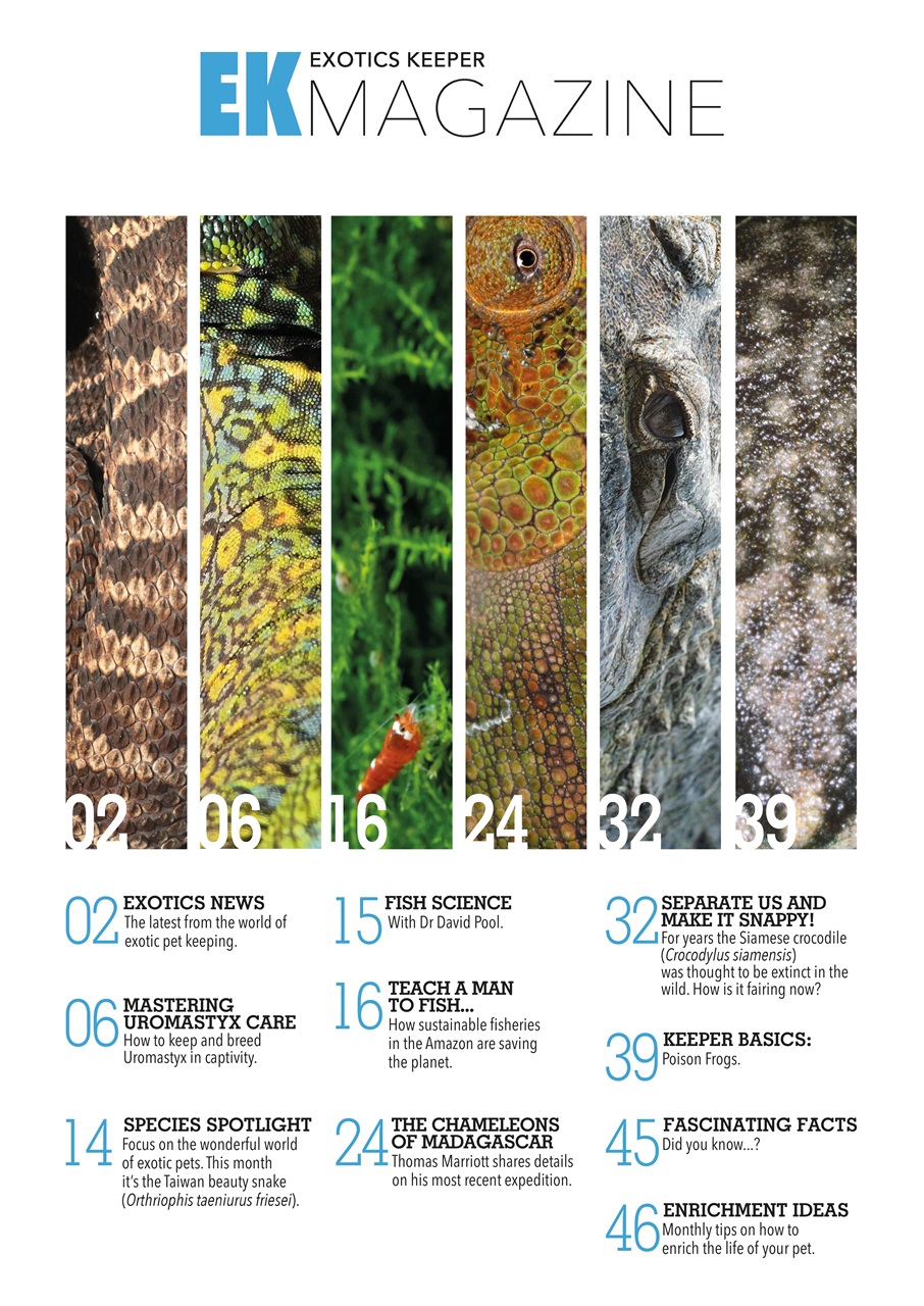 Exotics Keeper Preview Pages