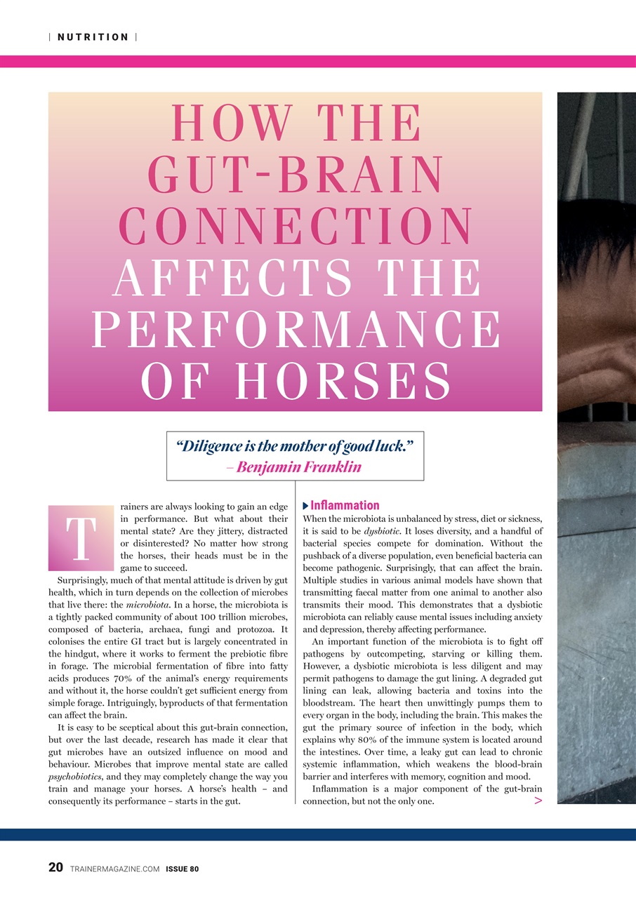 European Trainer Magazine - horse racing Preview Pages