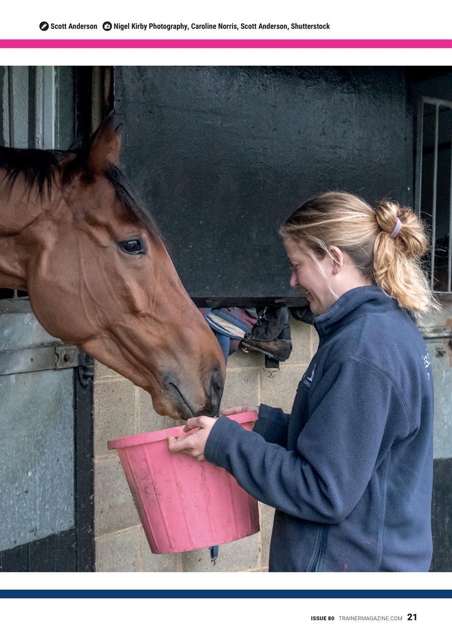 European Trainer Magazine - horse racing Preview Pages