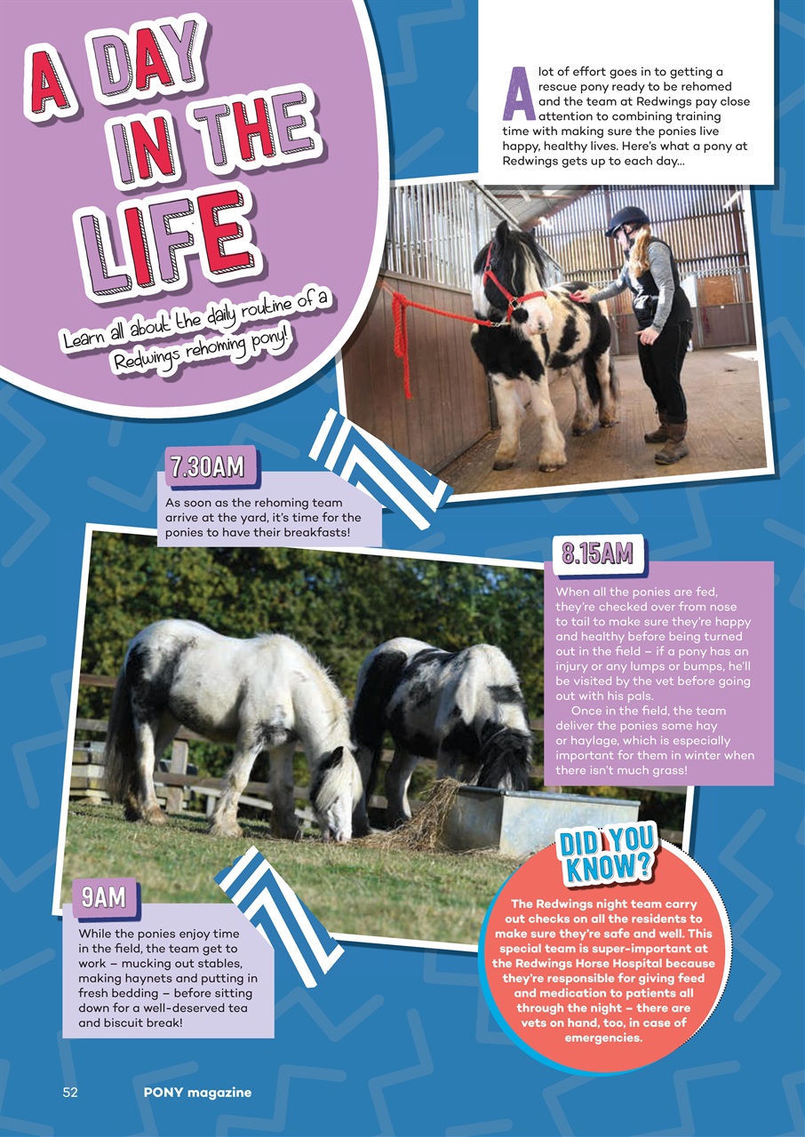 Pony Magazine Preview Pages