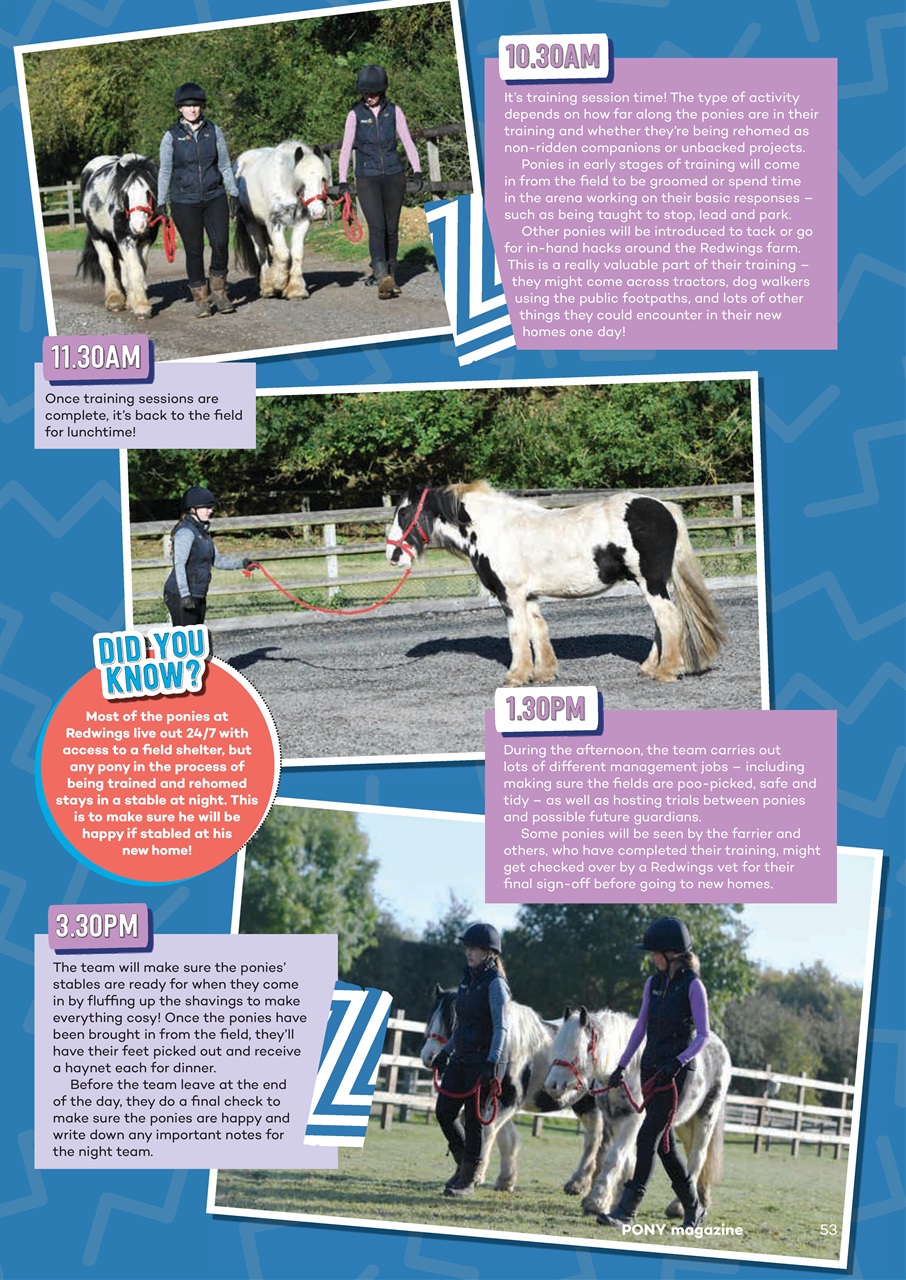 Pony Magazine Preview Pages