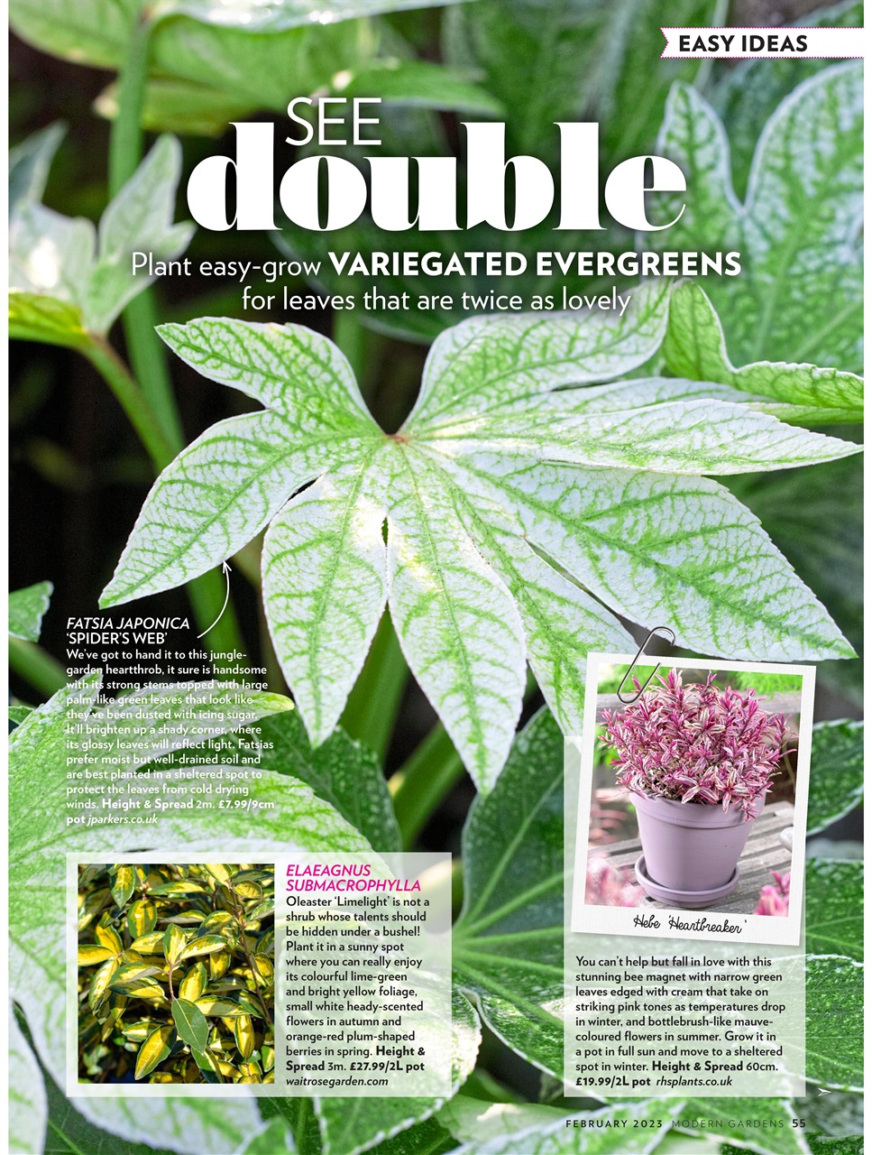 Modern Gardens Preview Pages