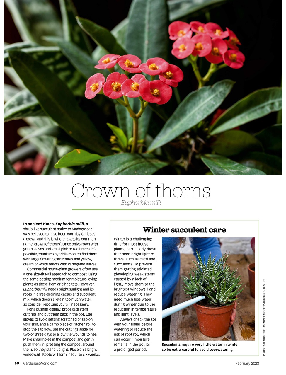 BBC Gardeners’ World Magazine Preview Pages