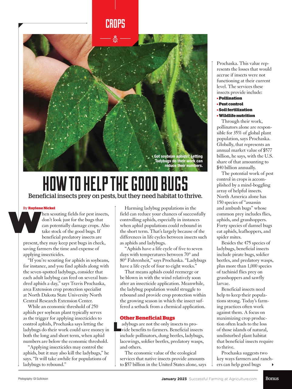 Successful Farming Preview Pages