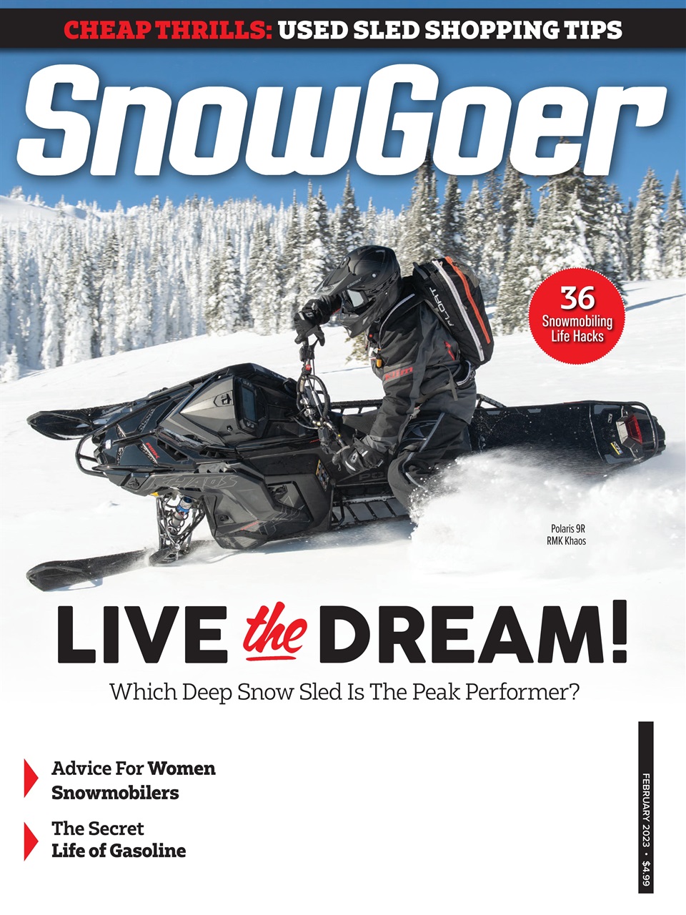 SnowGoer Preview Pages