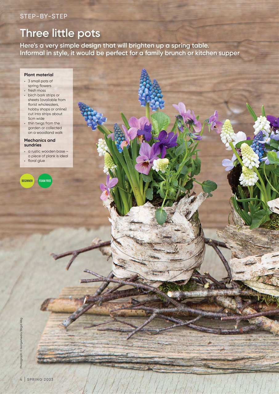 The Flower Arranger Preview Pages