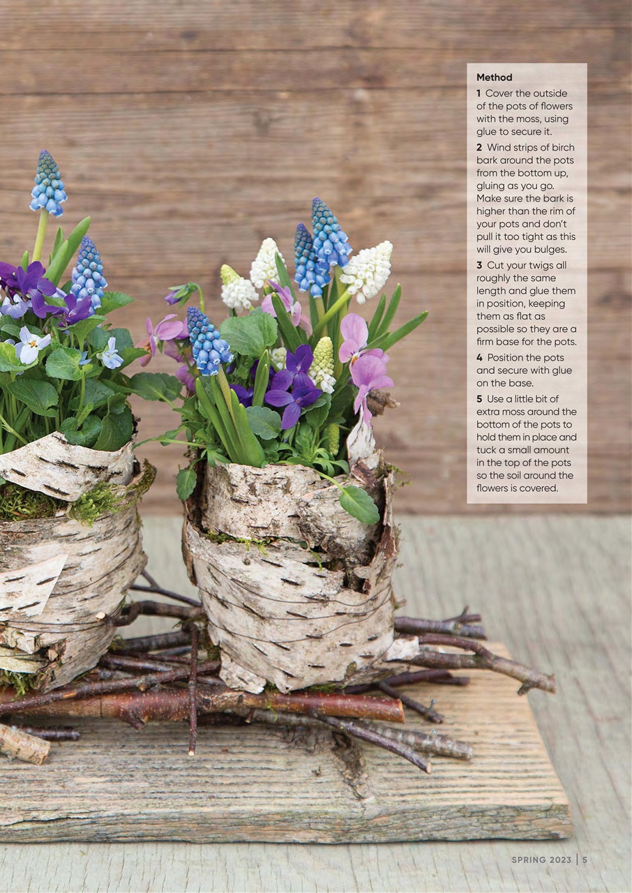 The Flower Arranger Preview Pages