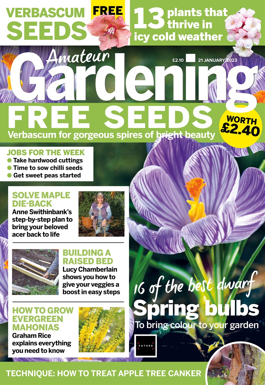 Amateur Gardening Preview Pages