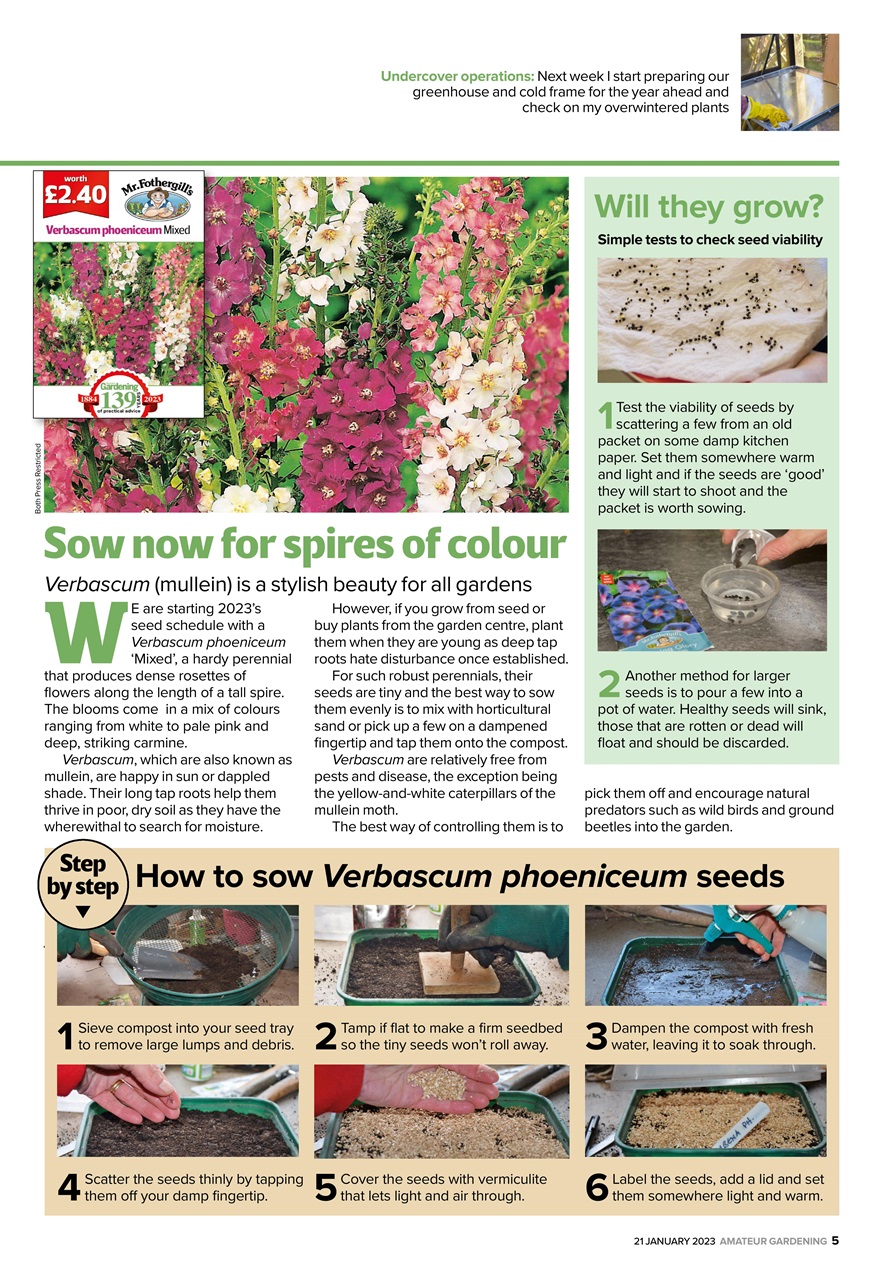 Amateur Gardening Preview Pages