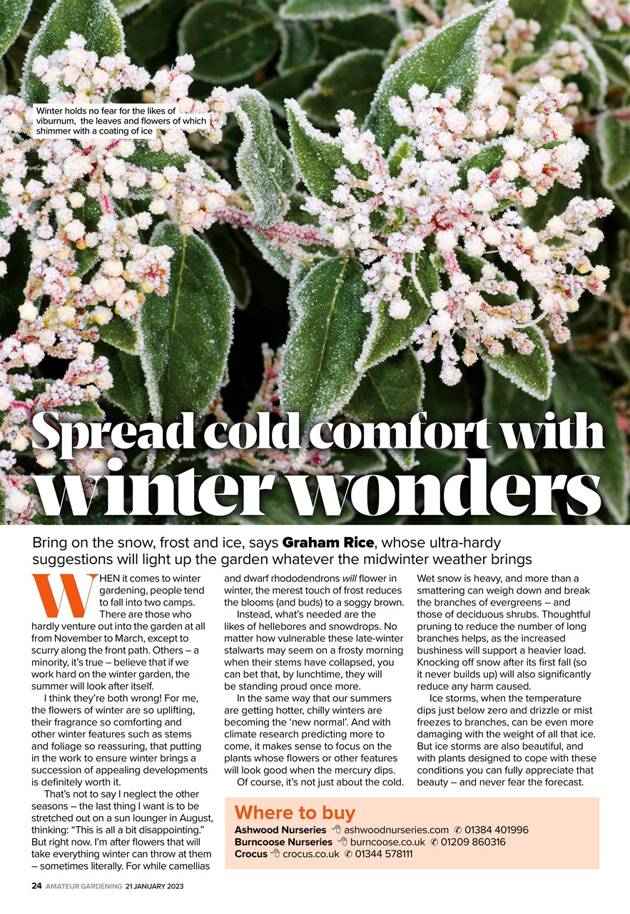 Amateur Gardening Preview Pages