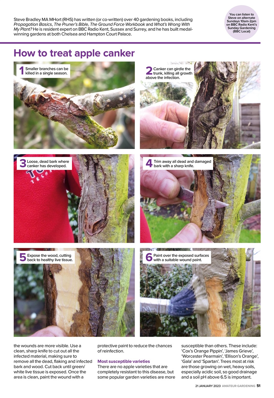 Amateur Gardening Preview Pages