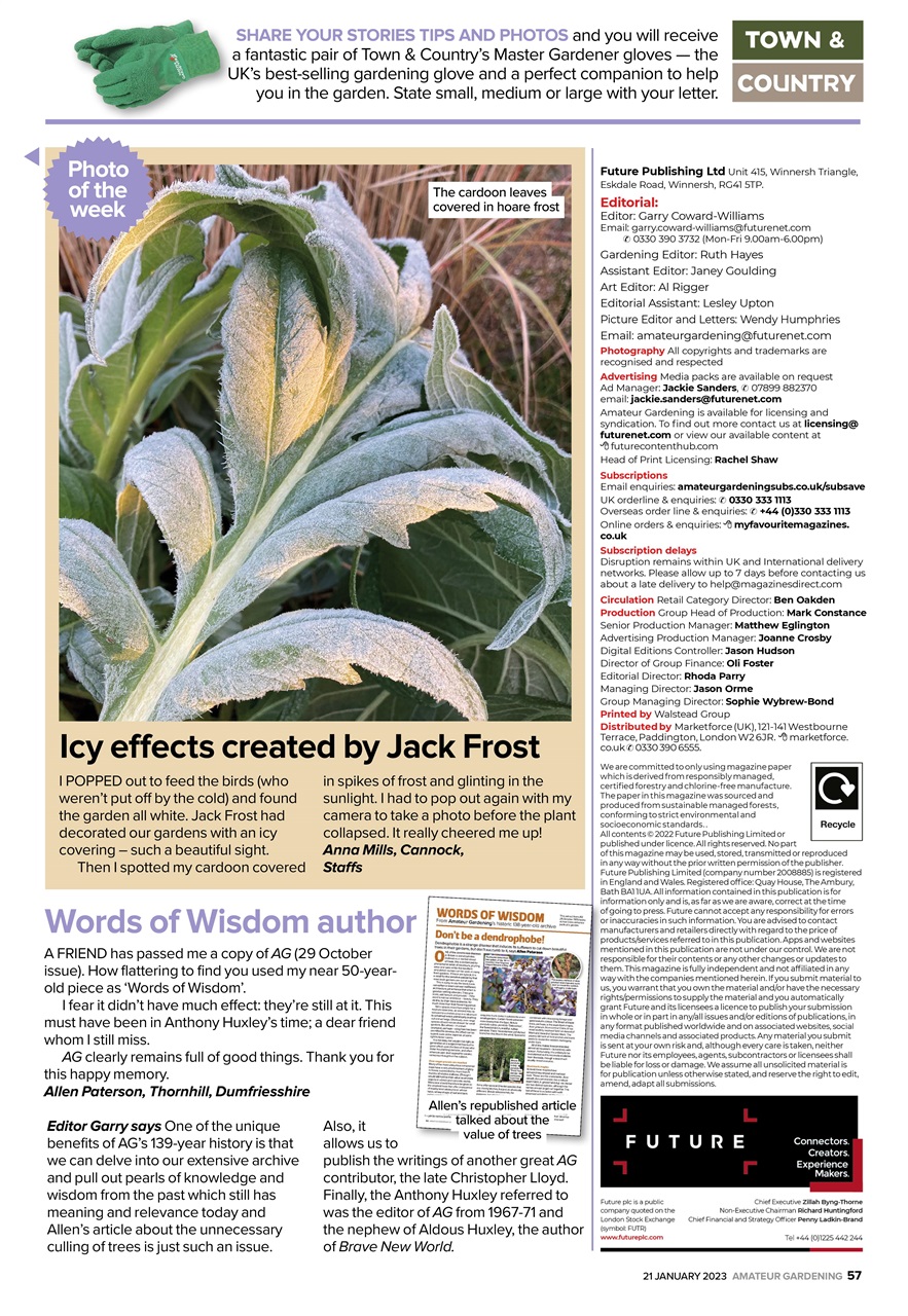 Amateur Gardening Preview Pages