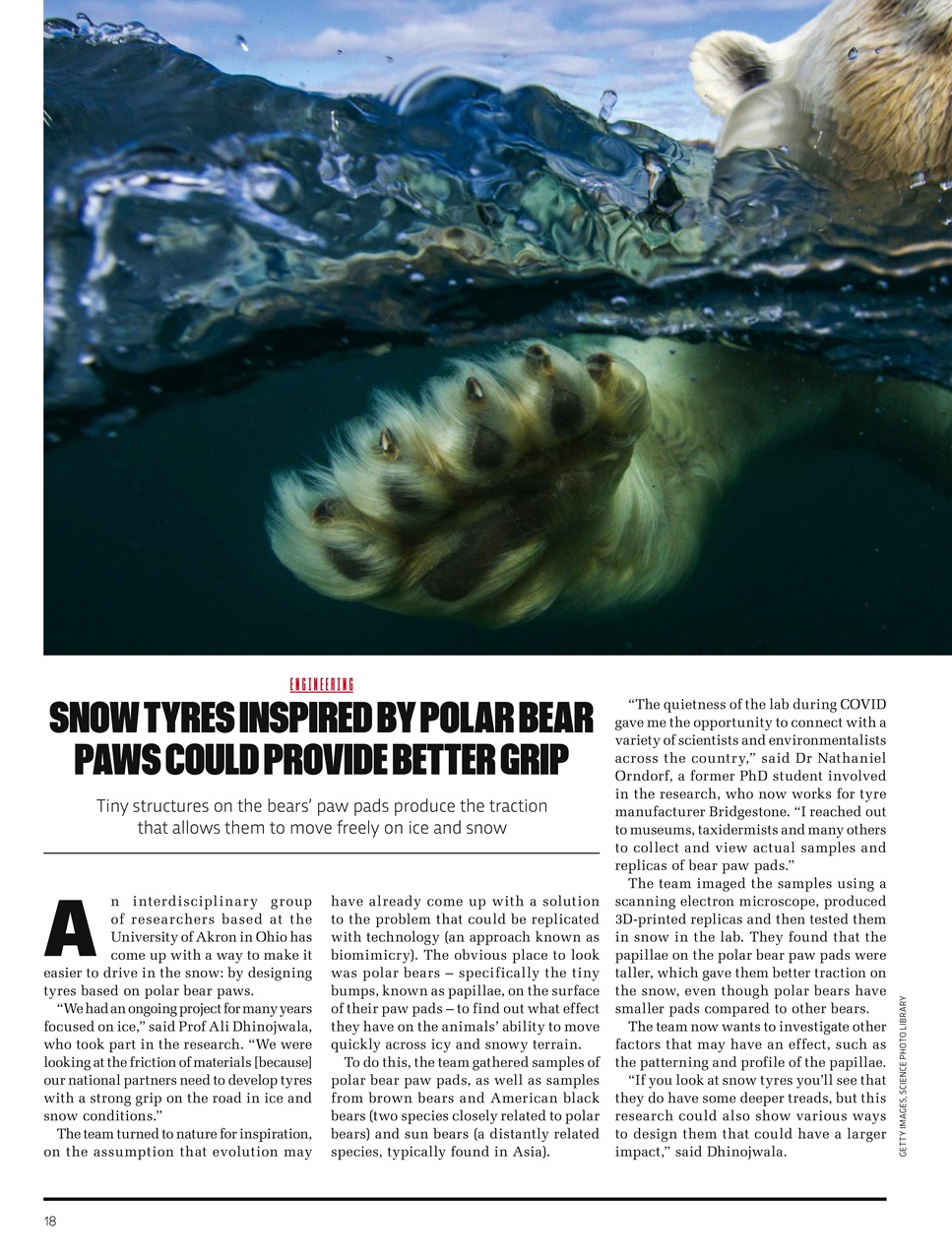 BBC Science Focus Magazine Preview Pages