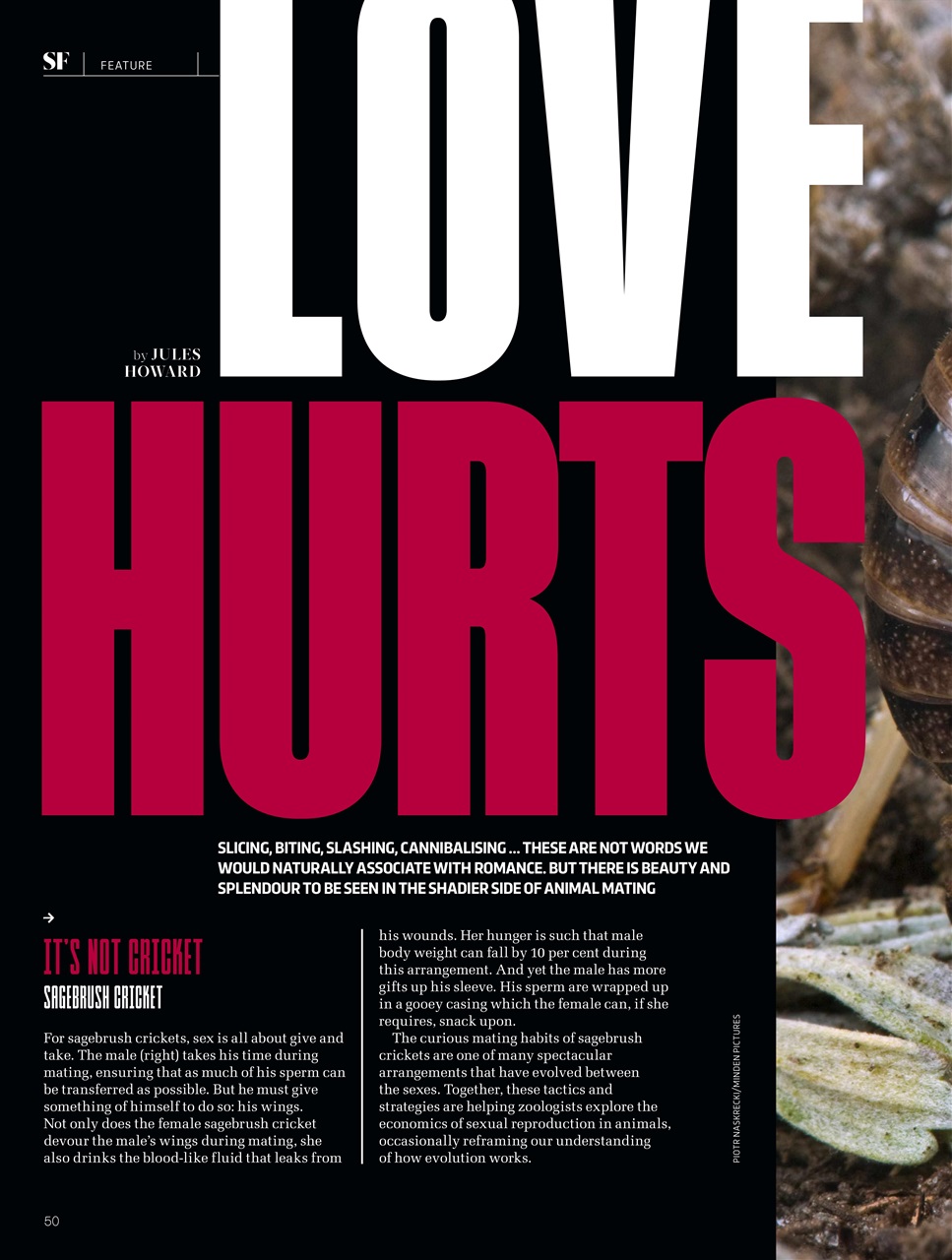 BBC Science Focus Magazine Preview Pages