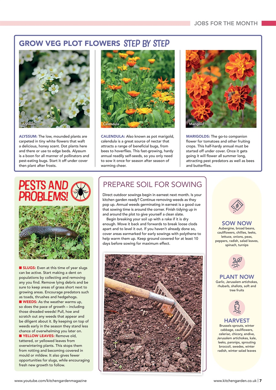 Kitchen Garden Magazine Preview Pages