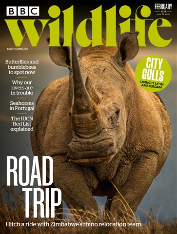 BBC Wildlife Magazine issue February 2023